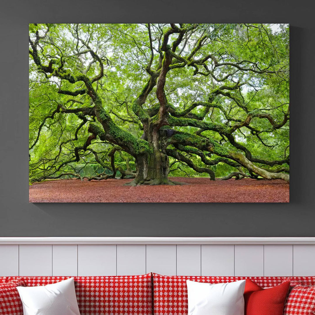 Framed Angel Oak Tree Wall Art - 3-Panel Canvas Prints, Large Green Nature Artwork, Ready to Hang Home Decor for Living Room, Office, Bedroom