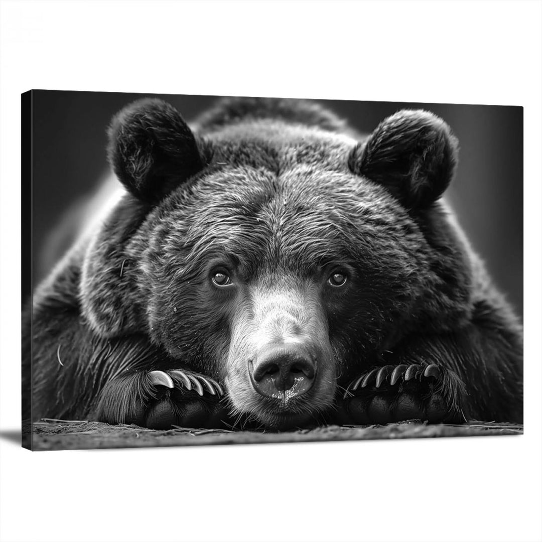 Resting Grizzly Bear Canvas Print | Ready to Hang Wall Art | Rustic Cabin & Farmhouse Decor | Wildlife Art