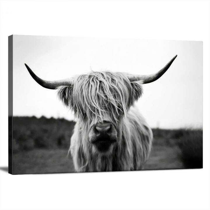 Highland Cow Wall Art | Black and White Farmhouse Decor | Ready to Hang Triptych Canvas Print | Rustic Barn Decor | Scottish Highland Cattle Art Print