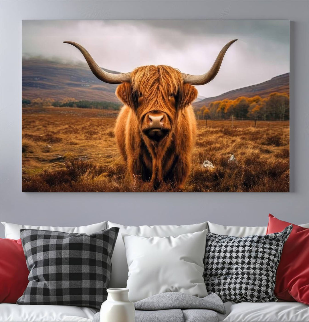 Highland Cow Longhorn Canvas Print, framed, on a wooden wall.