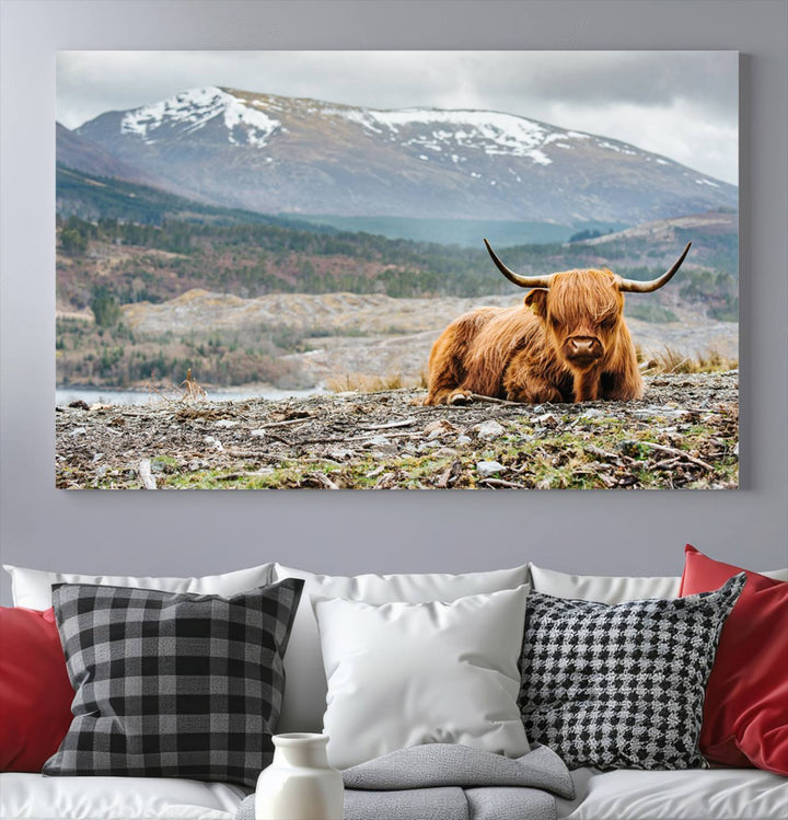 Highland Cow Horn Farm Wall Art Canvas Print is displayed against a wooden wall featuring a mountainous backdrop.