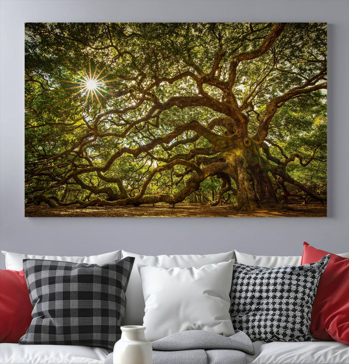 The Ancient Angel Oak Tree Art Sunburst Canvas Print, a framed triptych, serves as wall art.