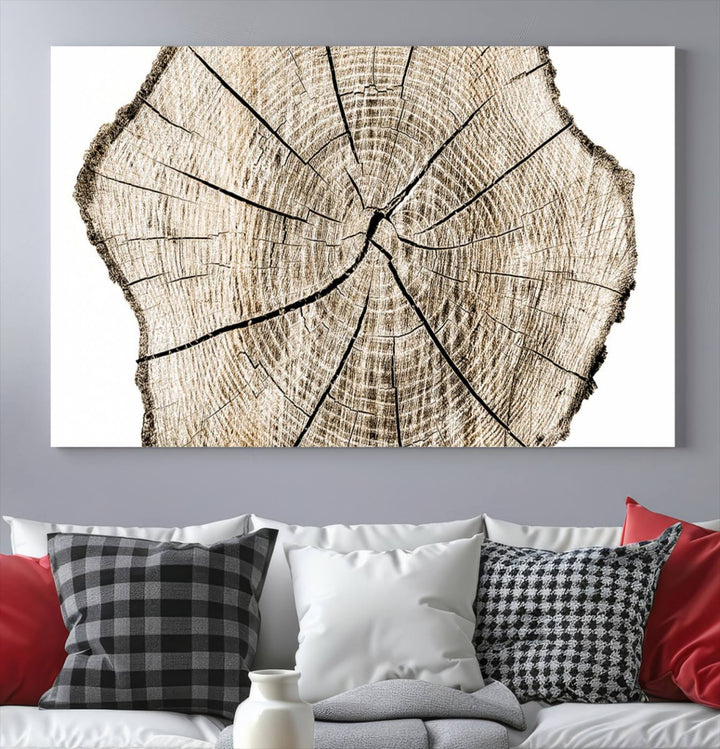 The Abstract Wood Tree Ring Wall Art set of 3 adds a minimalist touch to the space.