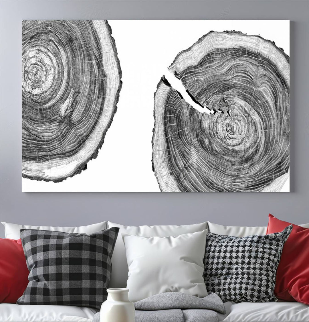 The modern black and white tree rings canvas art adds minimalist geometric decor with nature inspiration.