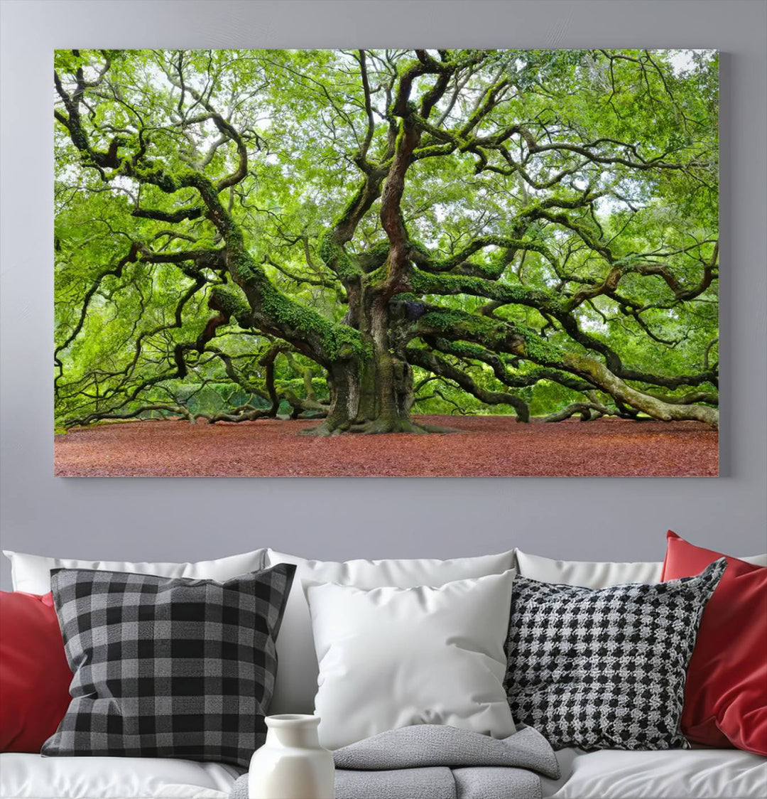 Framed Angel Oak Tree Wall Art - 3-Panel Canvas Prints, Large Green Nature Artwork, Ready to Hang Home Decor for Living Room, Office, Bedroom