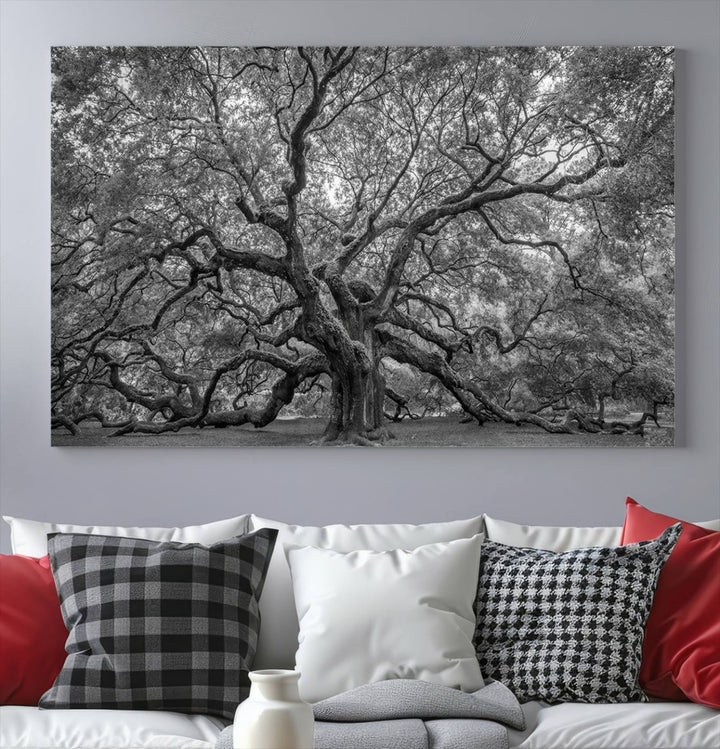 Majestic Angel Oak Tree Black and White Canvas Print – Multi Panel Wall Art, Giclée Print, Ready to Hang Nature Photography for Home Decor