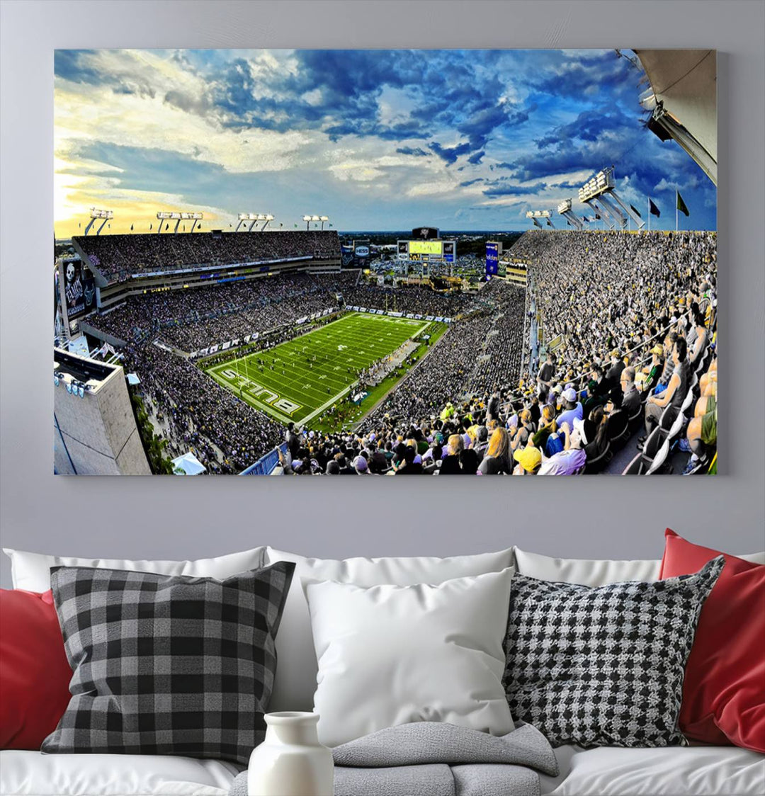 USF Bulls Football Team Print - Tampa Raymond James Stadium Wall Art Canvas Print