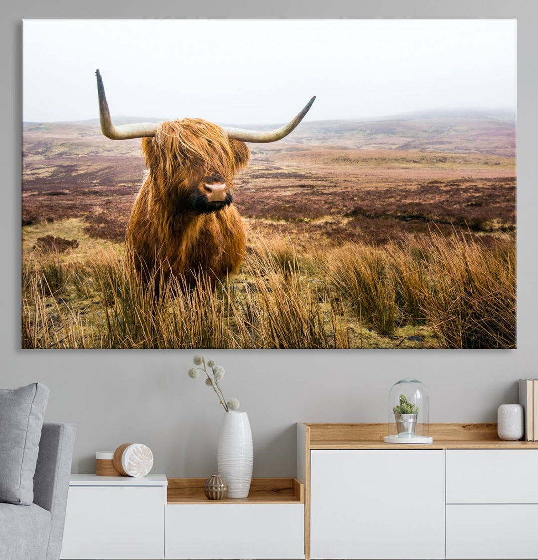 A ready-to-hang Scottish Highland Cow Cattle Canvas Wall Art.