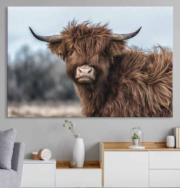 Fluffy Highland Cow Wall Art Canvas Print.