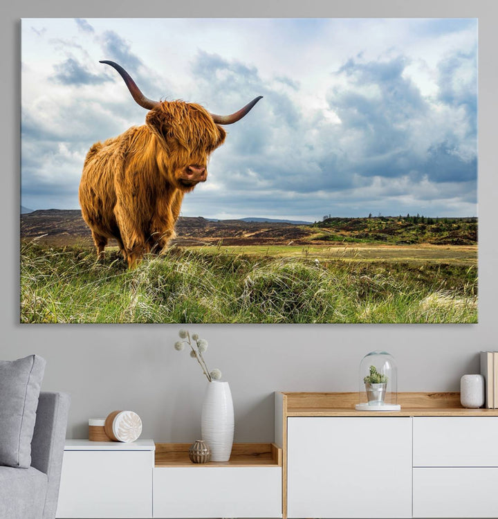 Highland Cattle Canvas Print: A minimalistic touch for any setting.