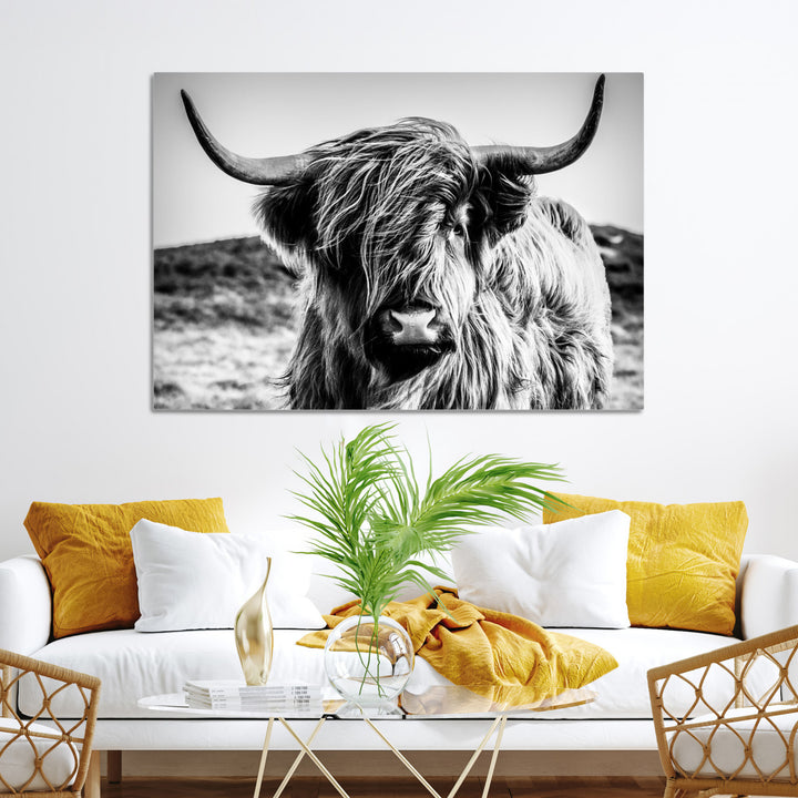 Highland Cow Wall Art | 3-Panel Black and White Highland Cow Canvas Print for Western Farmhouse Decor