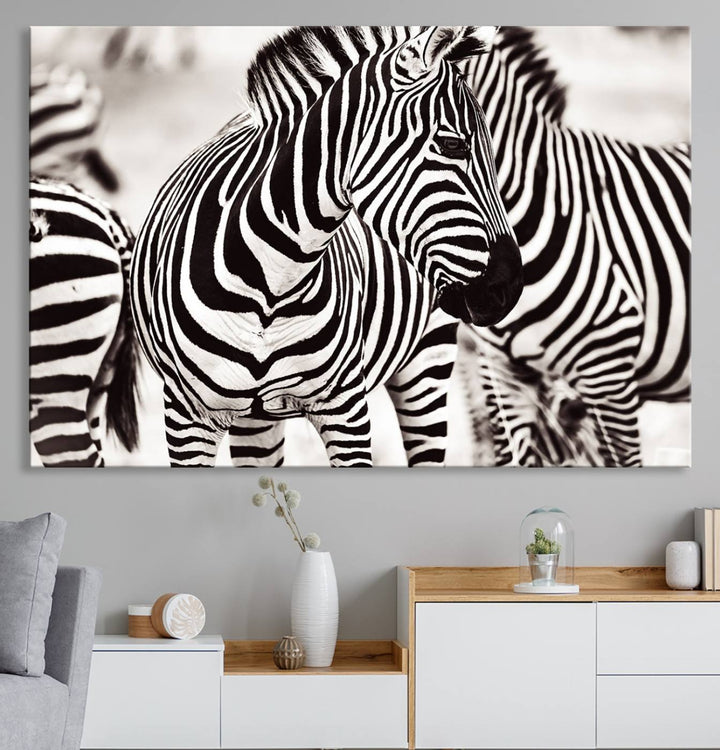 The Brilliant Zebra Photography Art Canvas Print hangs prominently on the wall.