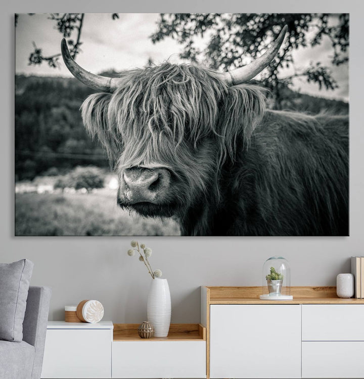 The Highland Cow Wall Art Canvas Print is displayed.