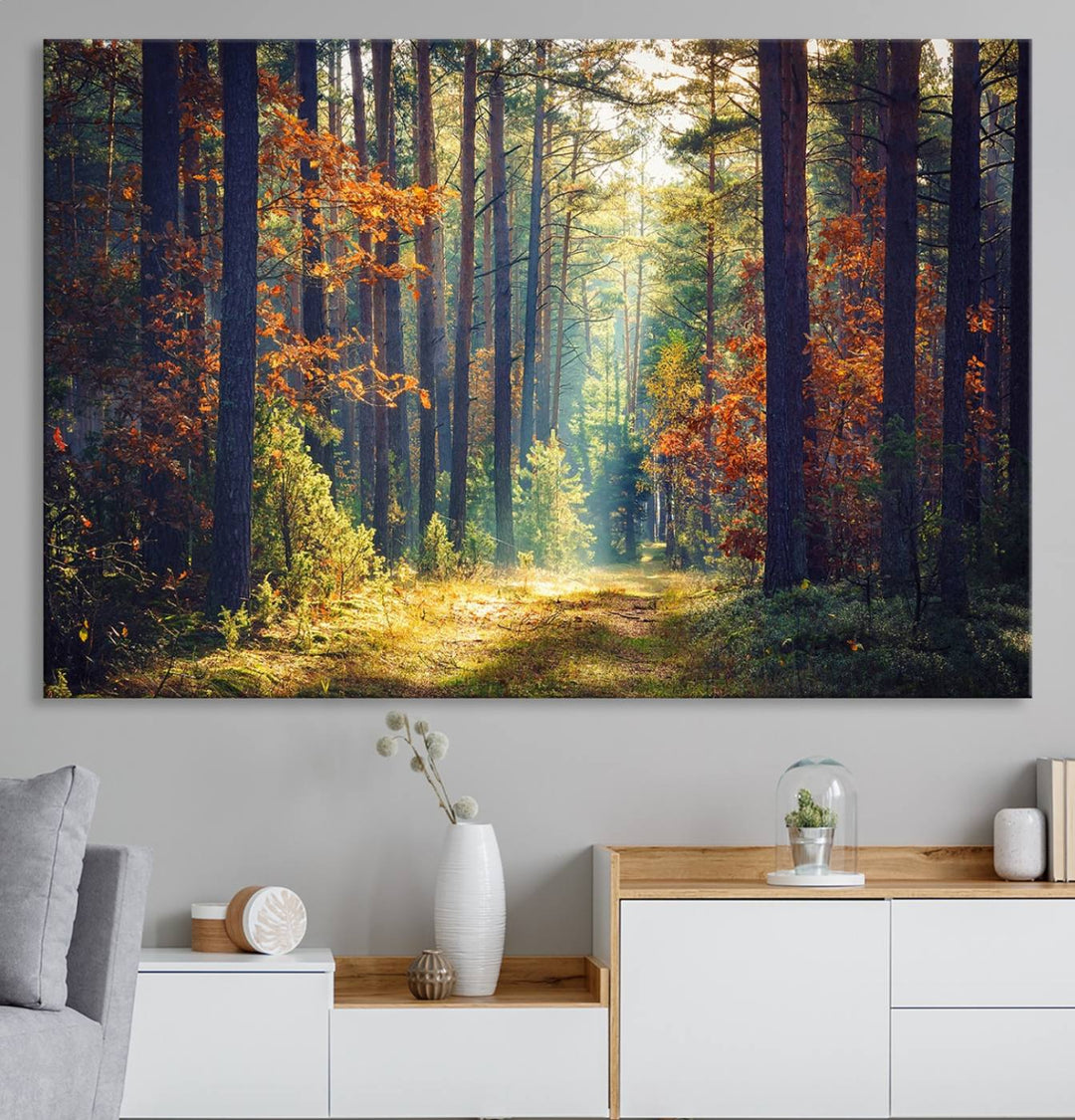 The Dark Forest canvas wall art showcases a captivating forest landscape.