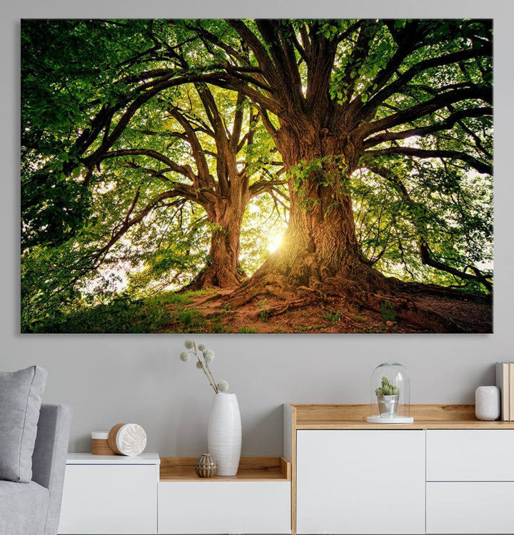 Majestic Ancient Tree Wall Art is illuminated by sunlit forest rays.