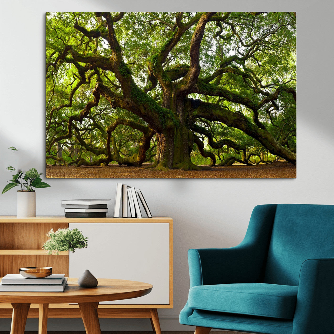 MGV-CV-36X24 - Angel Oak Tree Wall Art Canvas Print | Forest Tree Nature Photography Print on Canvas | Large Triptych Art for Living Room or Office Decor