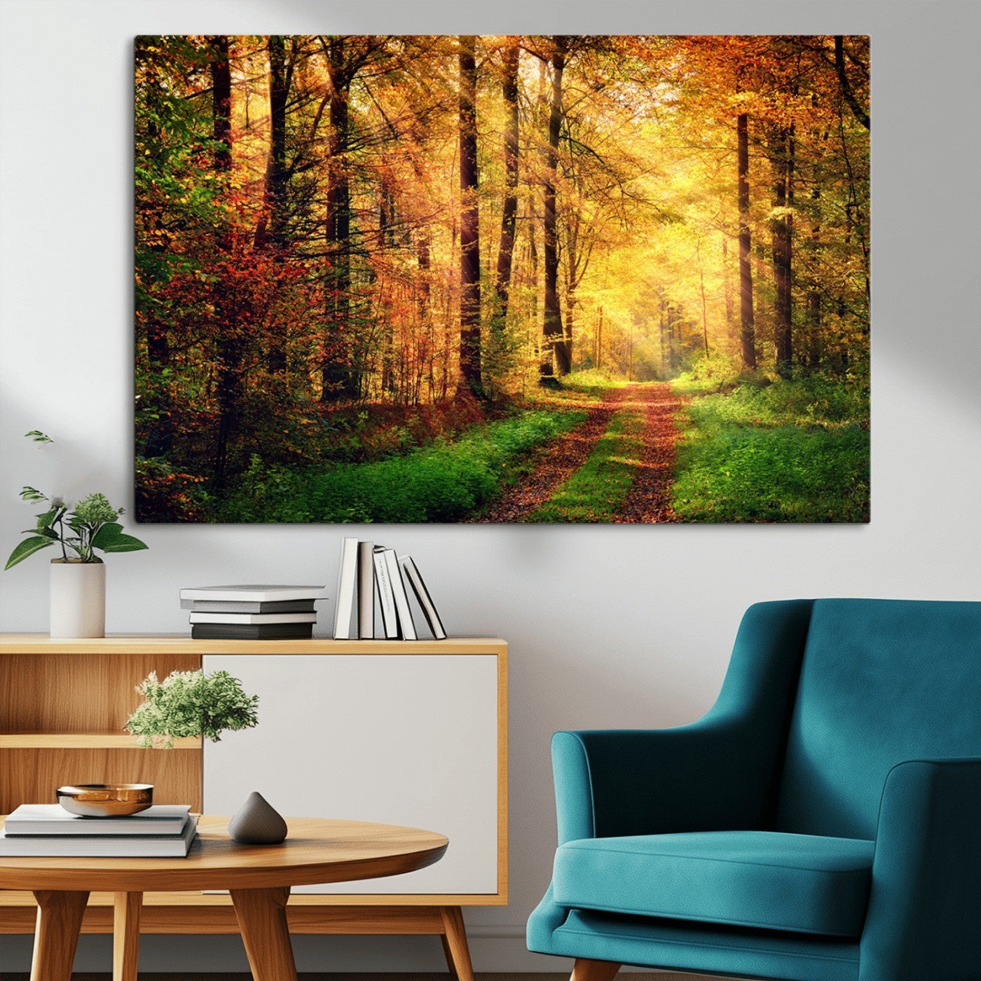 MGV-CV-36X24 - Forest Fall Wall Art Print - Sunlight Through Trees Wall Art Canvas Print