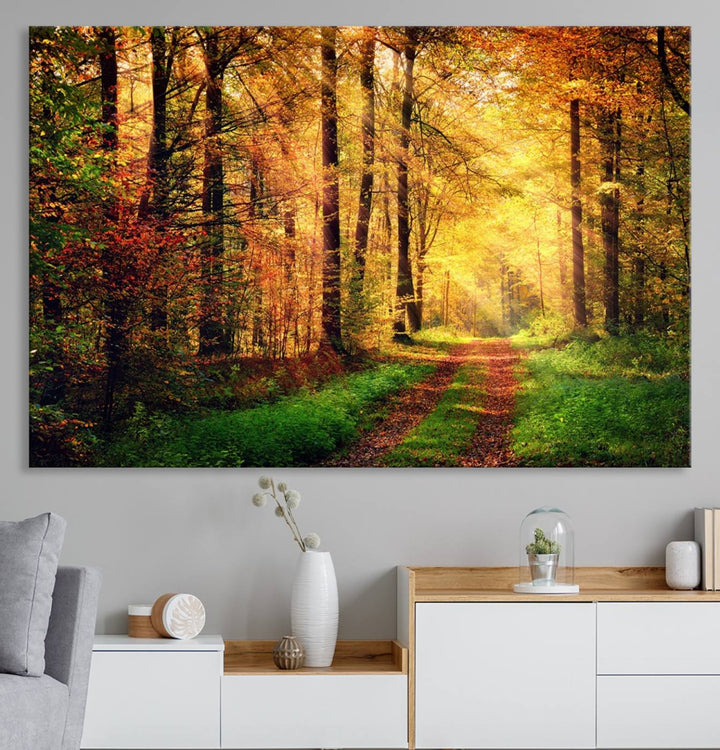 The Sunlight Through Trees Wall Art Canvas Print showcases a sunlit autumn forest and includes UV protection to ensure lasting vibrance.