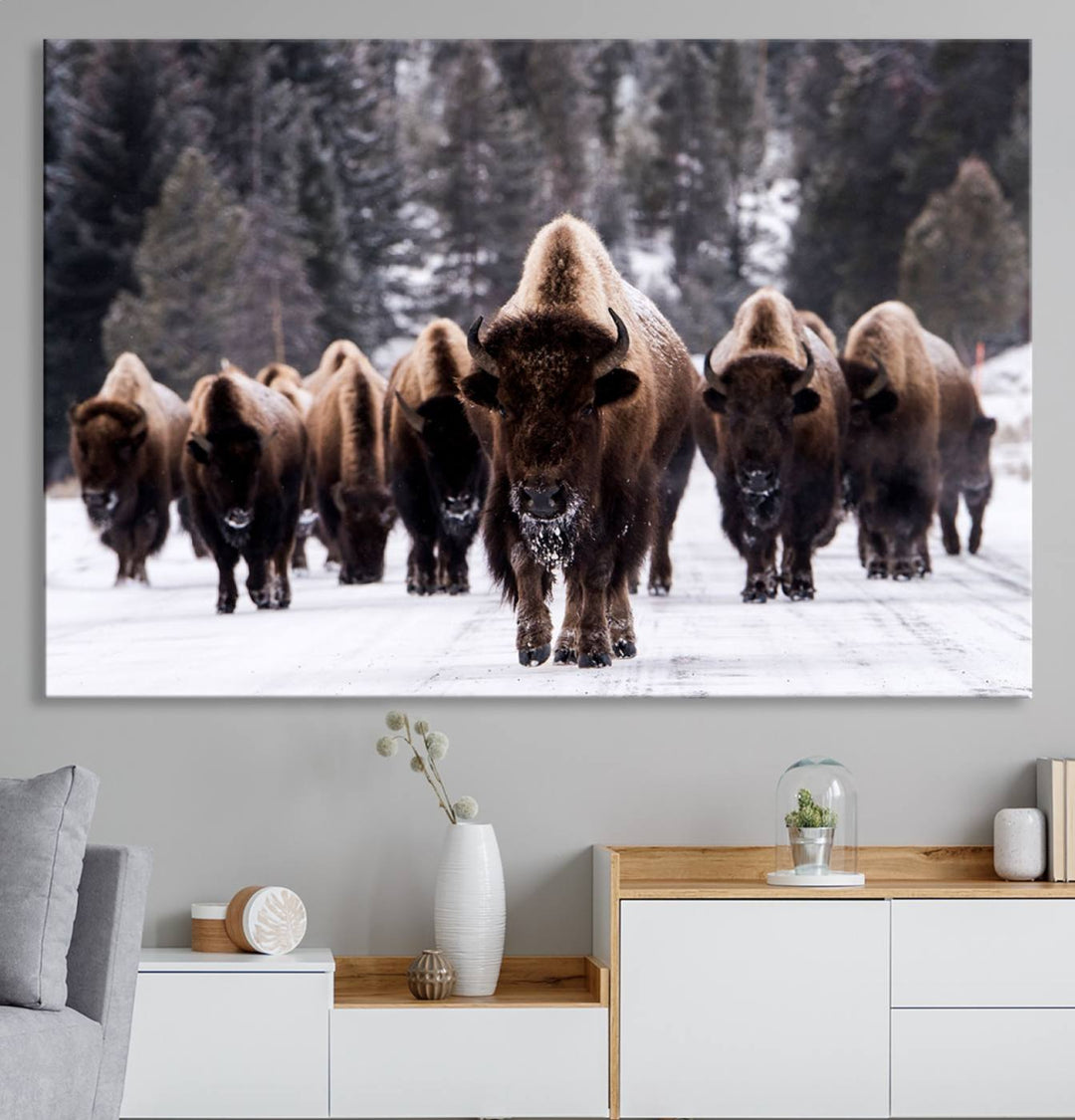 Bison Herd Canvas Wall Art.