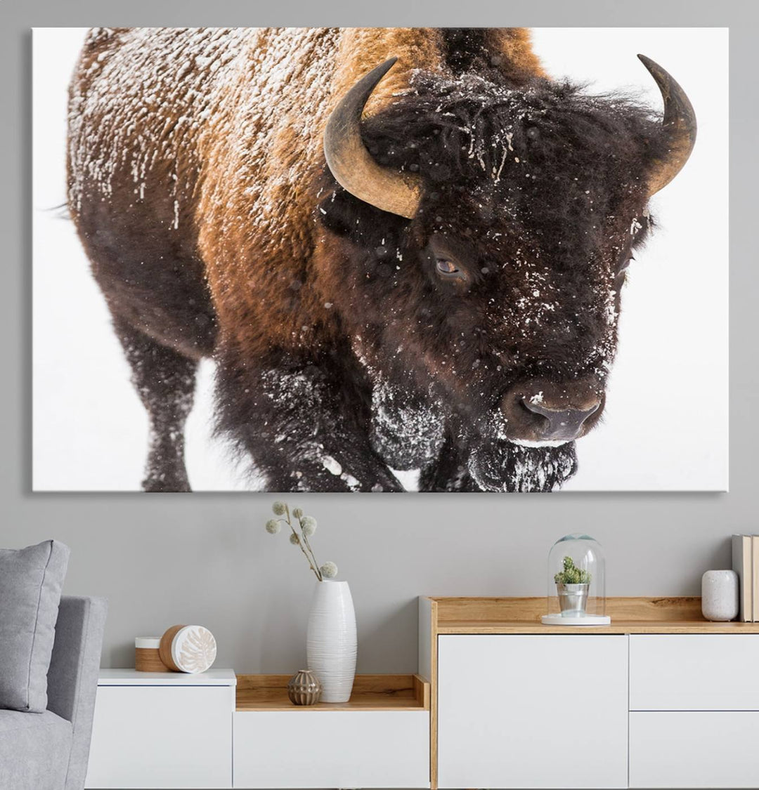 Bison Wall Art Canvas.