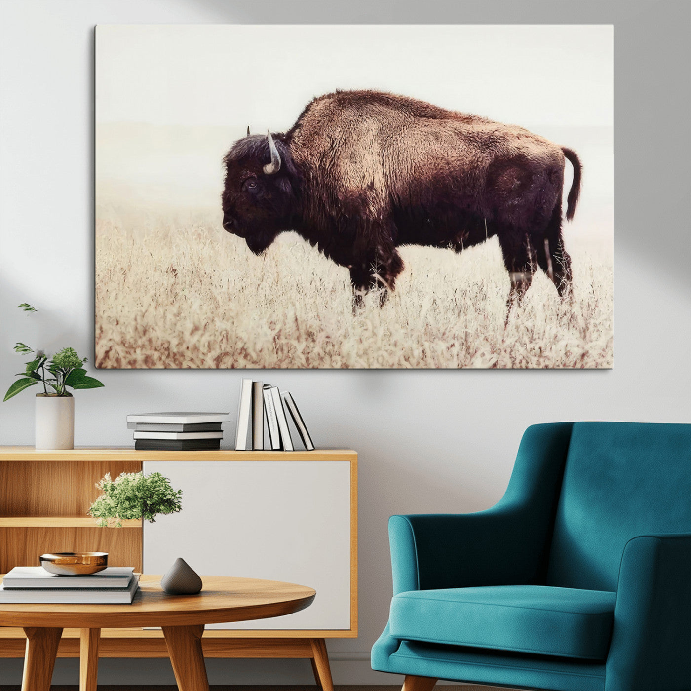 MGV-CV-36X24 - Bison in Field Wall Art Canvas Print For Farmhouse Barn Decor