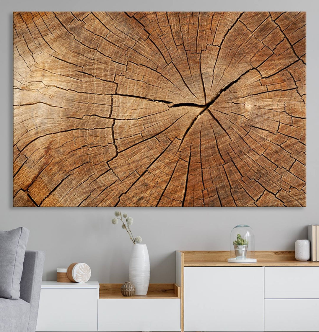 Tree Ring Canvas Art decorates a textured wall.