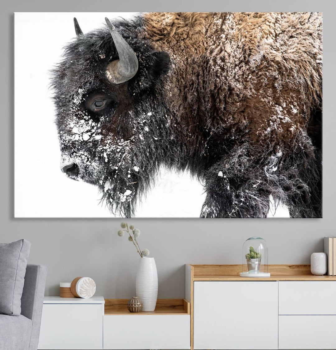 The American Bison Wall Art Print is prominently displayed on the wall.