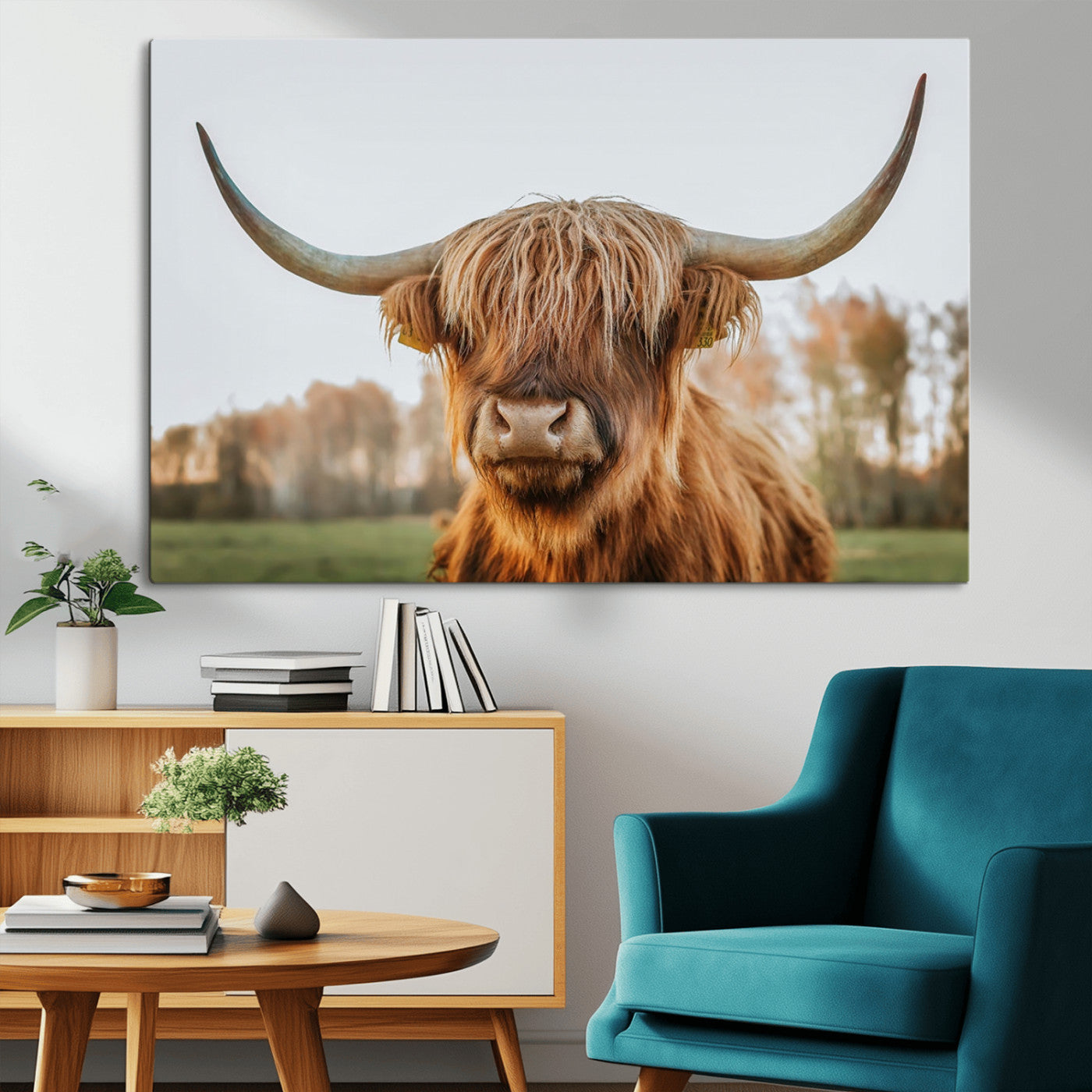 MGV-CV-36X24 - Highland Cow Animal Scottish Cattle Art Print Farmhouse Wall Art Canvas Print