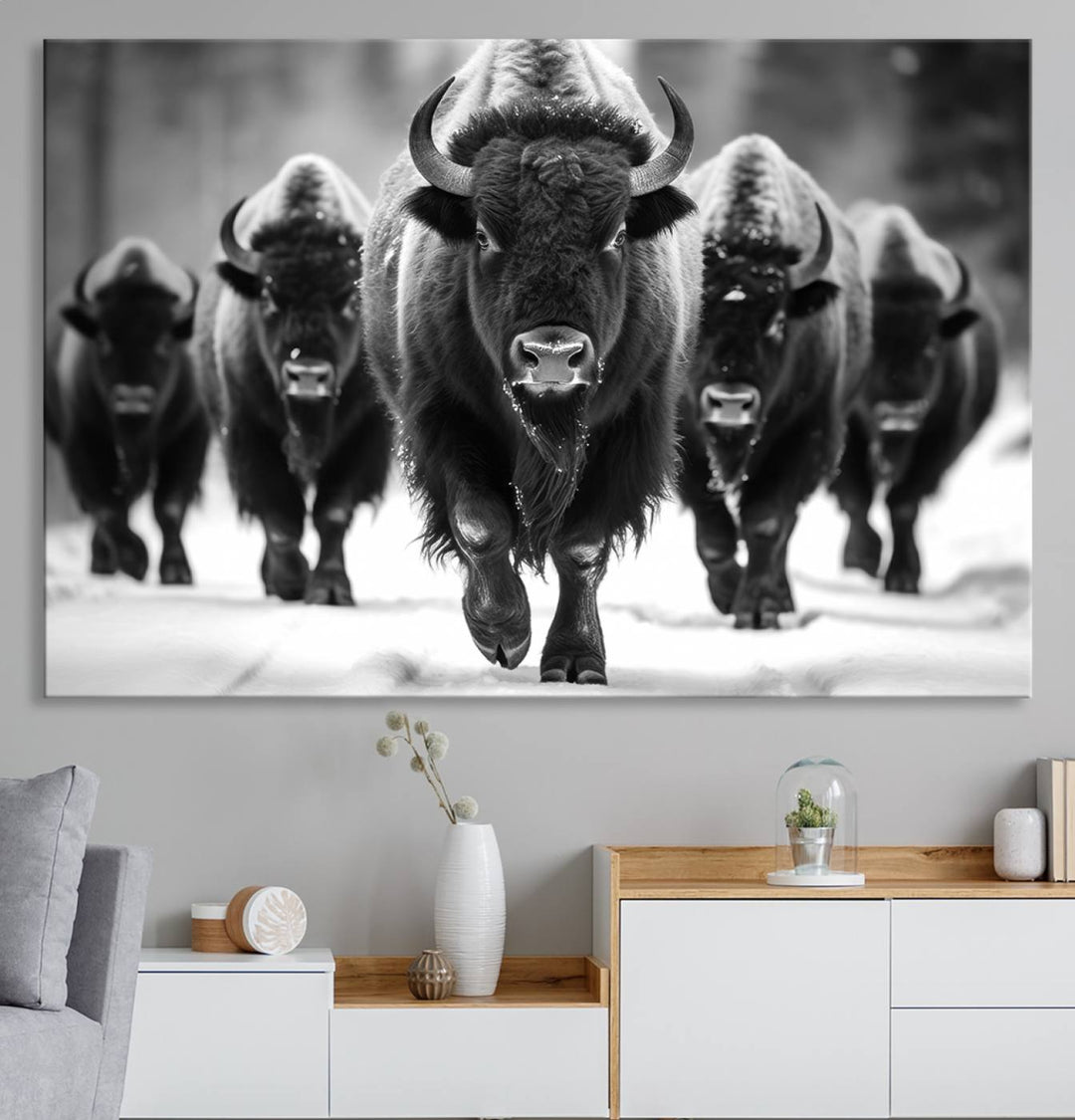 A black and white American Bison herd canvas print adorns the wall.