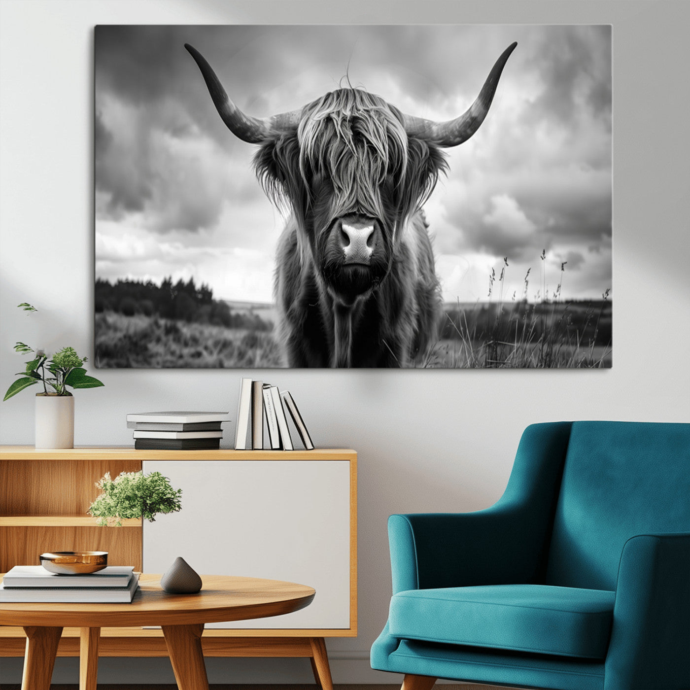 MGV-CV-36X24 - Scottish Cow Wall Art Canvas Print | Longhorn Wall Art | Bighorn Animal Wall Art