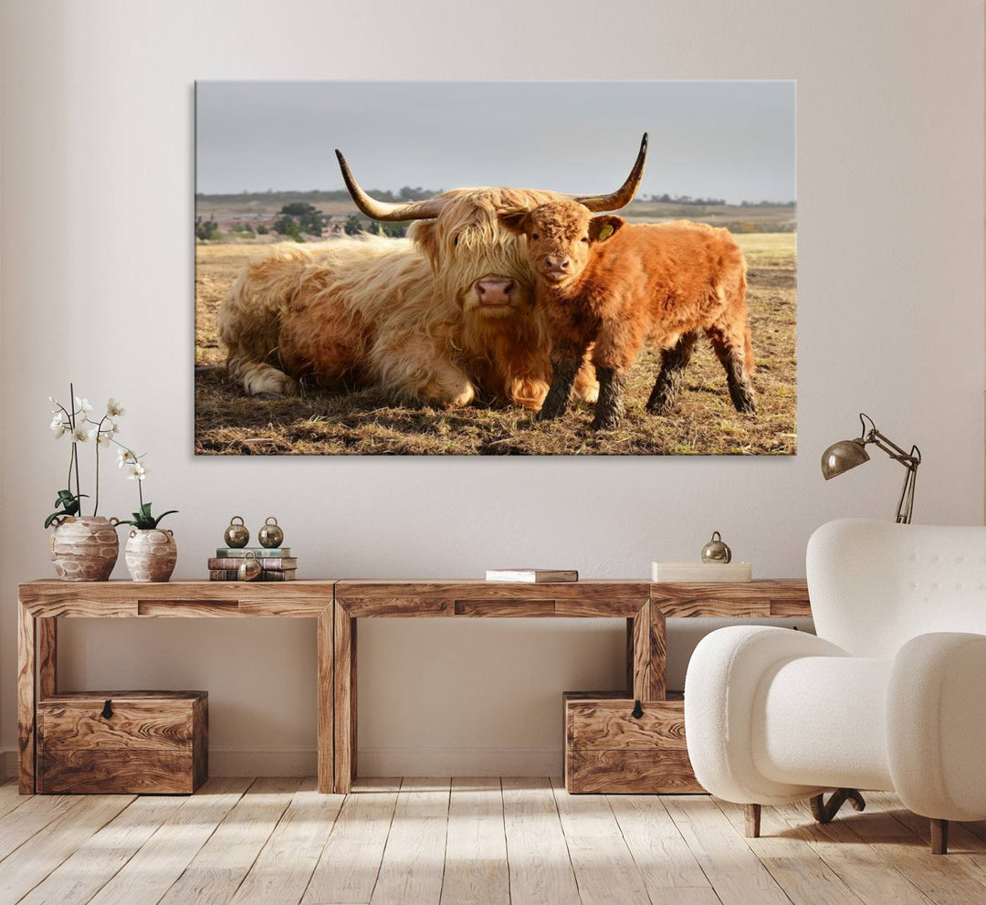 Highland Cow Canvas: a light brown cow and calf in the field, ideal farmhouse decor.