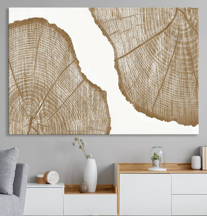 The rustic wall art features two large tree rings, beautifully framed and displayed to create a nature-inspired décor.