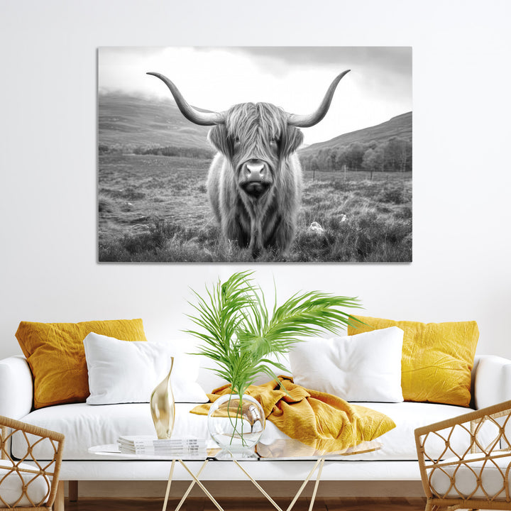 Black White Scottish Highland Cow Canvas Farm Wall Art Canvas Print