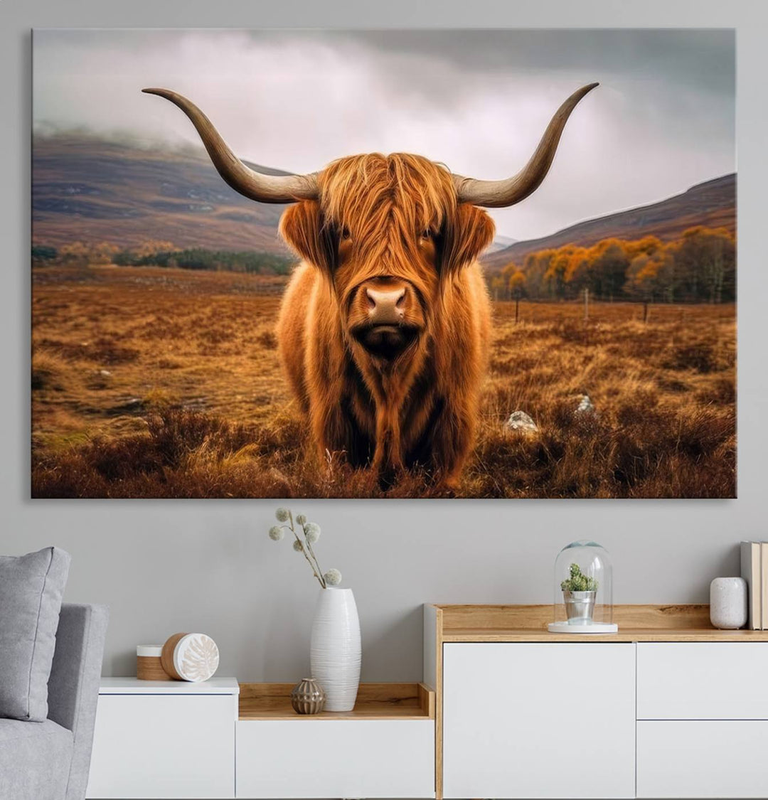 Highland Cow Longhorn Canvas Print, framed, on a wooden wall.