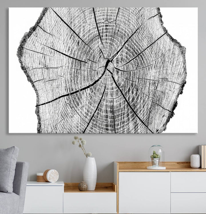 Black and white tree ring art print.