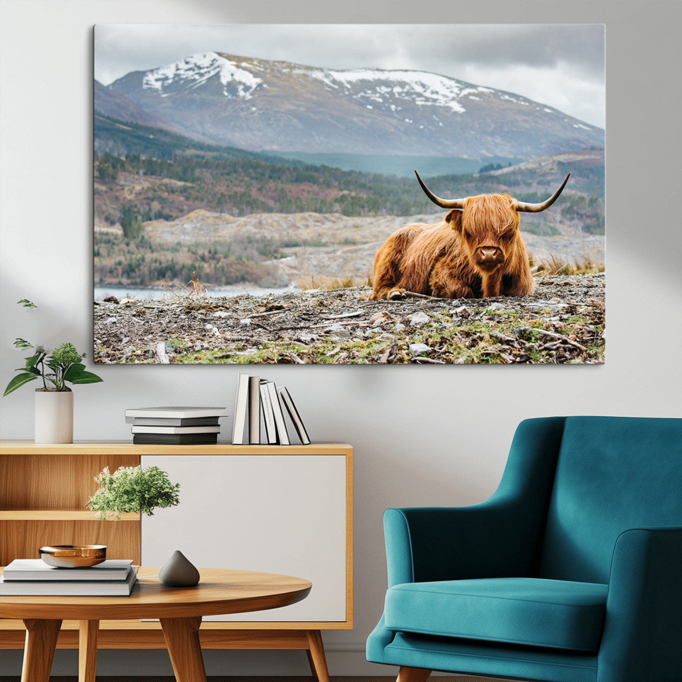 -Highland Cow Horn Farm Wall Art Canvas Print