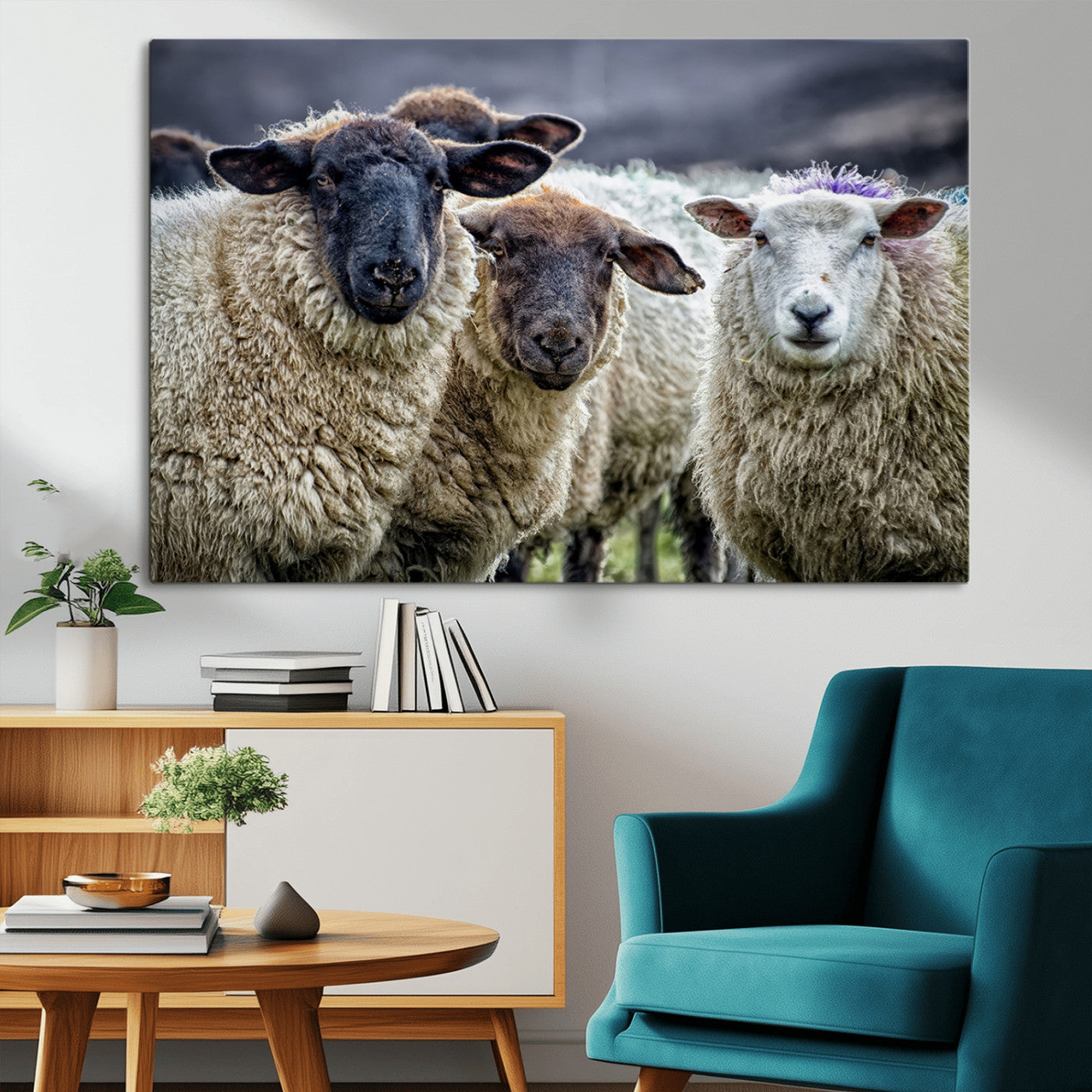 -Charming Sheep Portrait Wall Art – Trio of Woolly Companions Canvas Print, Framed, Ready to Hang