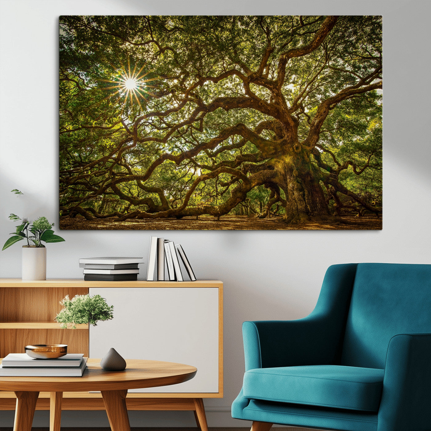 MGV-CV-36X24 - Ancient Angel Oak Tree Art Sunburst Canvas Print- Nature-Inspired Triptych Canvas Print, Framed, Ready to Hang