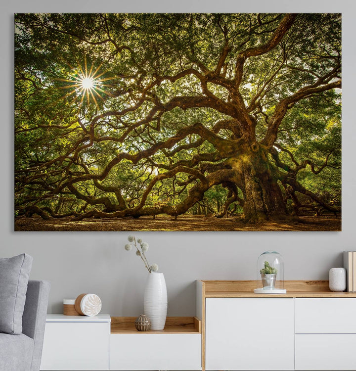 The Ancient Angel Oak Tree Art Sunburst Canvas Print, a framed triptych, serves as wall art.