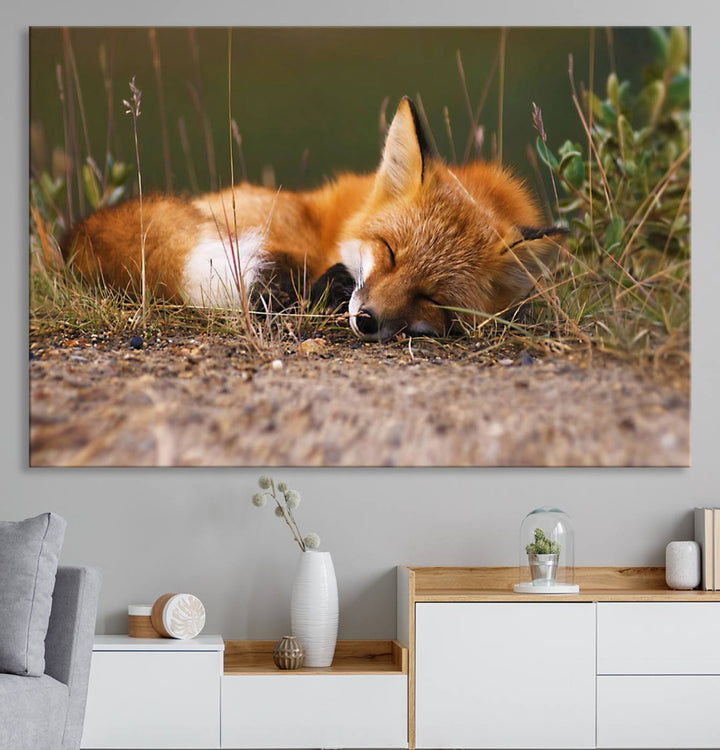 The Sleeping Fox Wall Art Canvas Print is ideal for farmhouse decor.