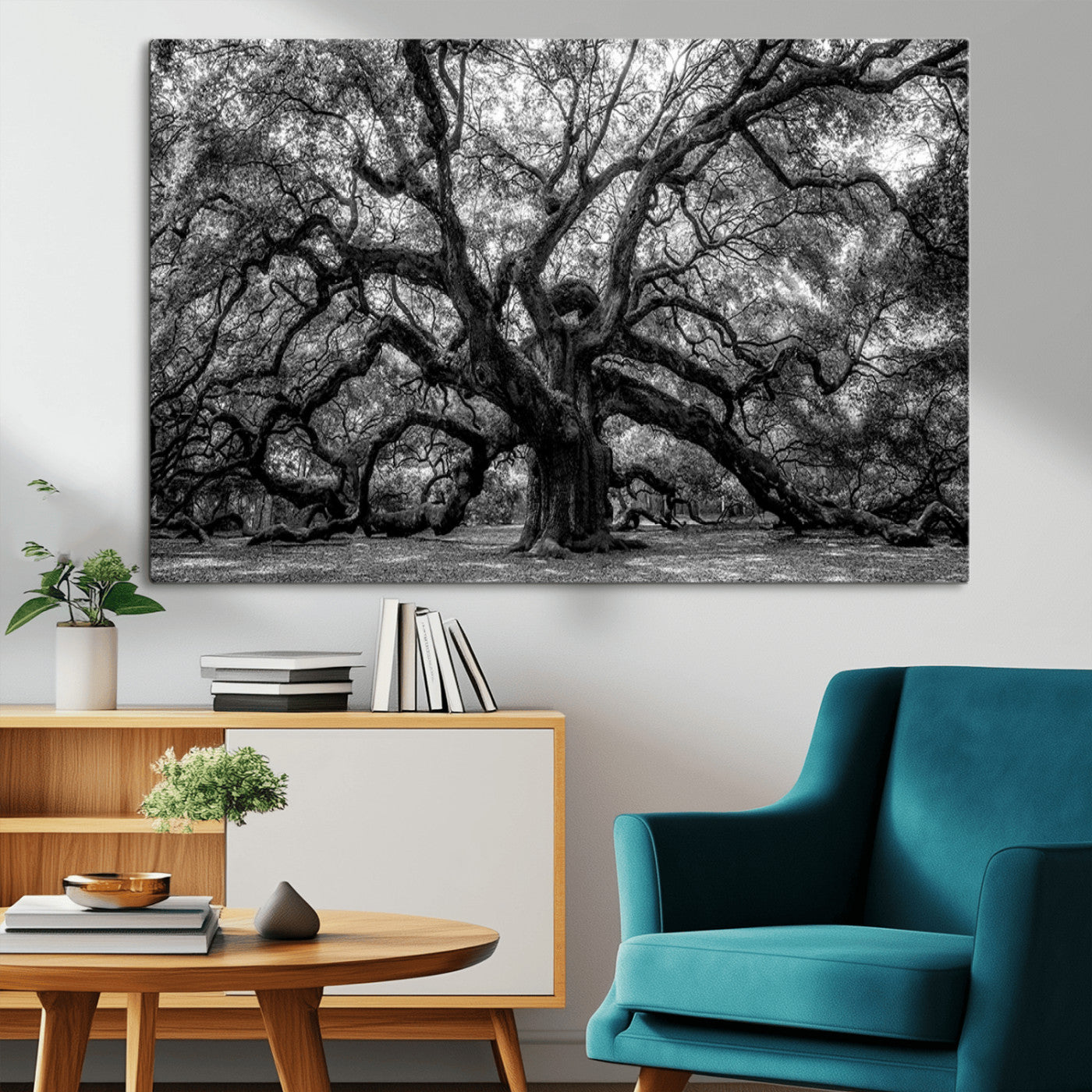 MGV-CV-36X24 - Black and White Old Angel Oak Tree Wall Art Canvas Print