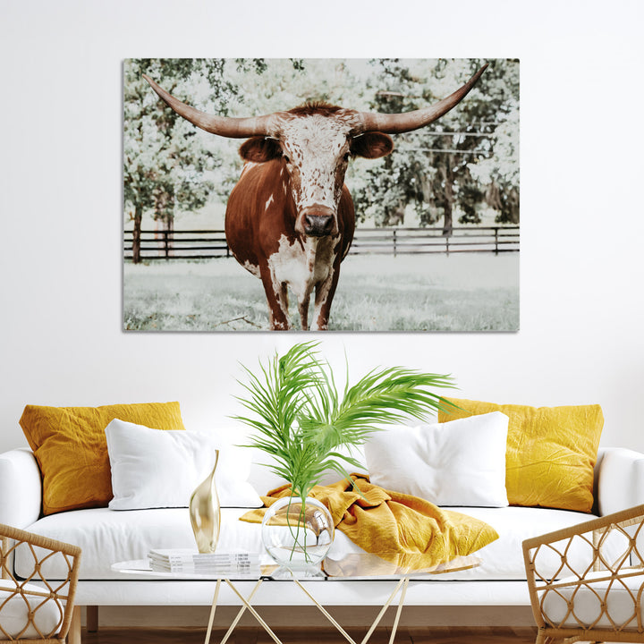 Texas Longhorn Wall Art Canvas Print, Framed Spotted Cow Art Picture Print, Horned Cattle Perfect Rustic Western Decor, Framed Horned Cattle Print
