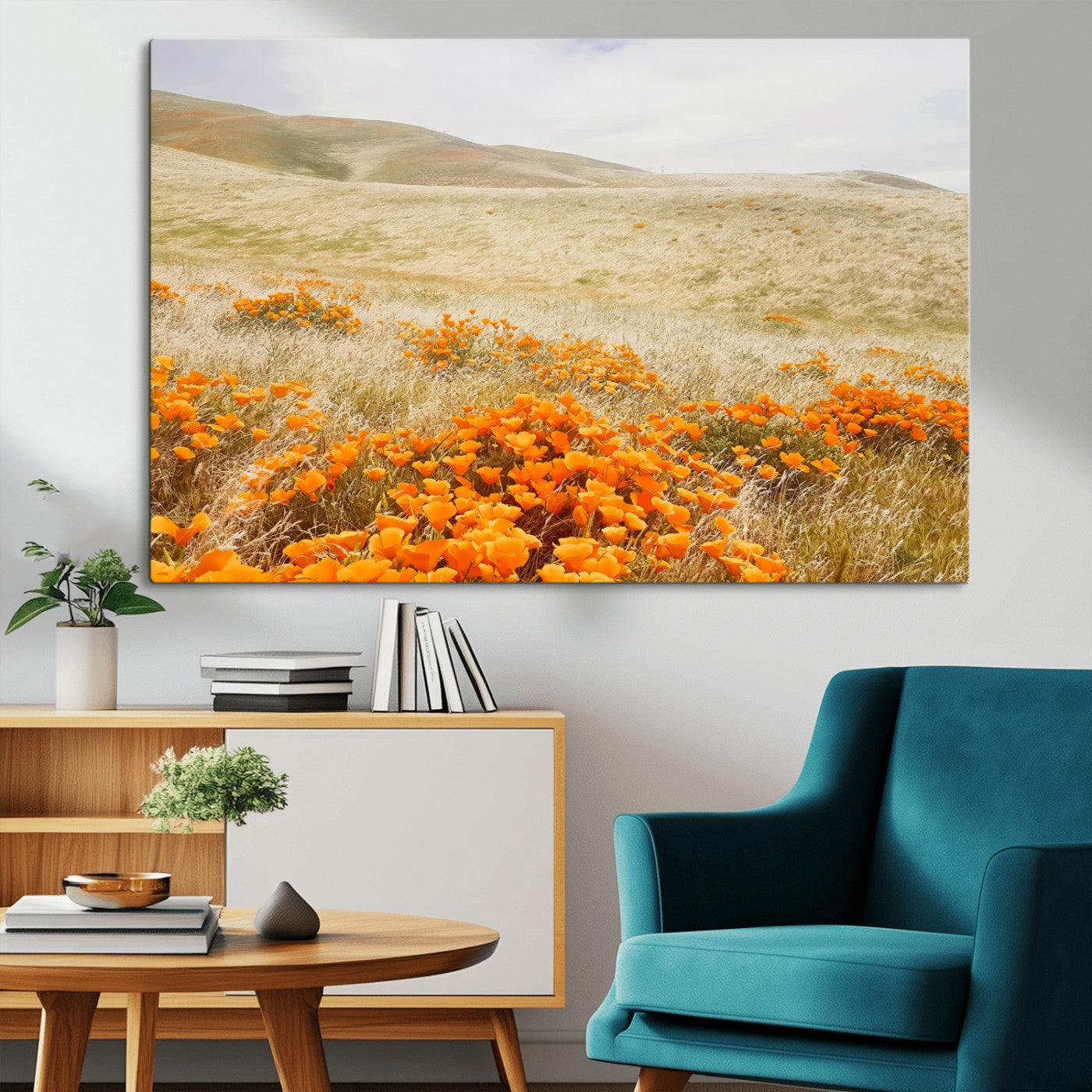A golden field with vibrant orange poppies blooming across rolling hills under a soft, sunlit sky, creating a warm and rustic landscape.