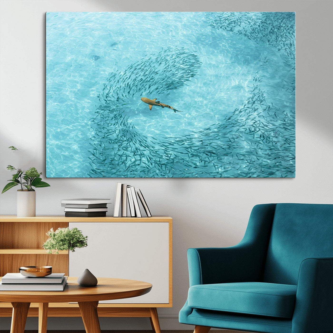 Aerial view of a shark swimming through a swirl of fish in clear turquoise waters, perfect for calm coastal or beach house decor.