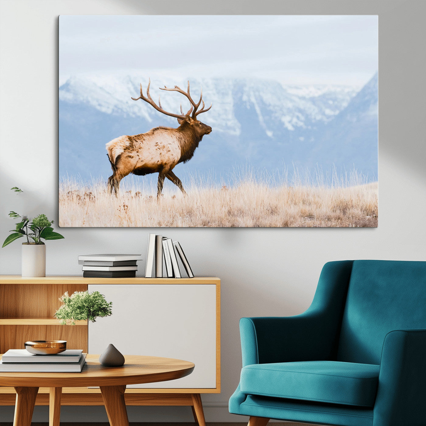 An elk walking on snowy grassland with majestic mountains in the background, ideal for rustic lodge or cabin wall decor.