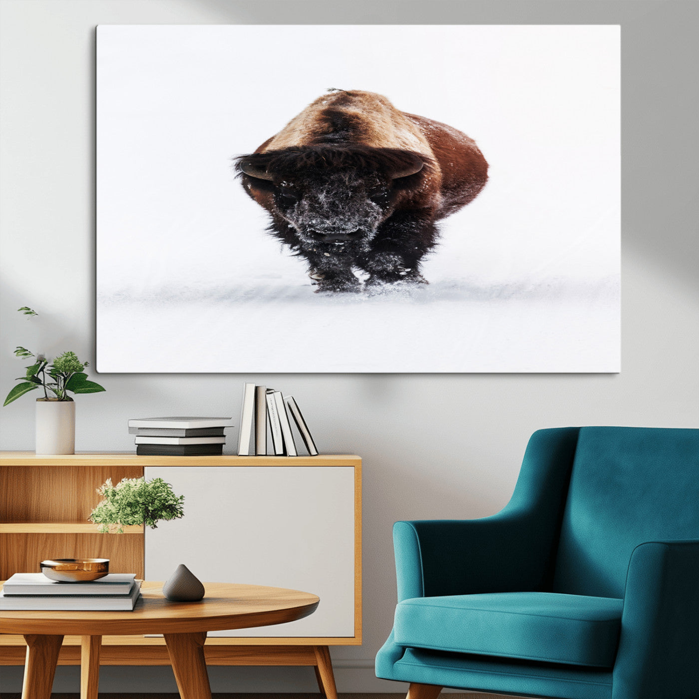 Front view of a strong bison walking in deep snow, isolated white background, perfect for rustic or lodge-style home decor.