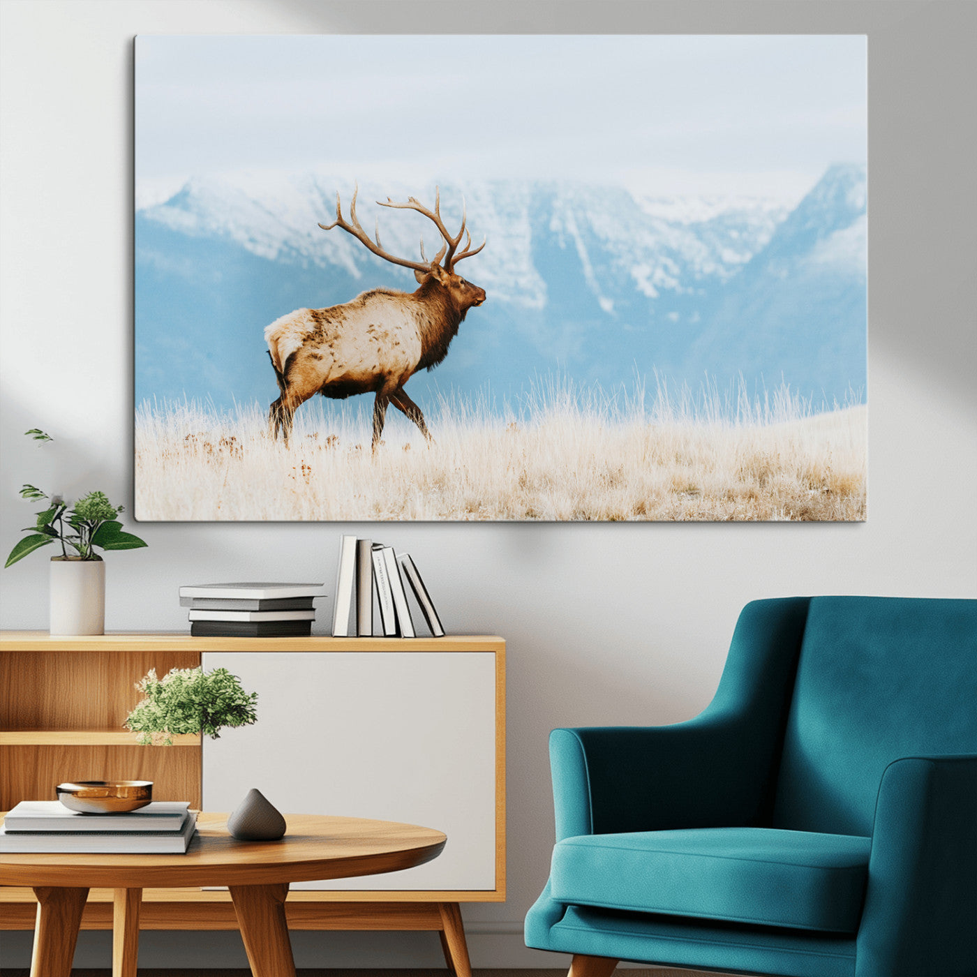 Majestic elk with antlers walking on golden grass, snowy mountains behind, perfect for rustic lodge or Scandinavian decor.