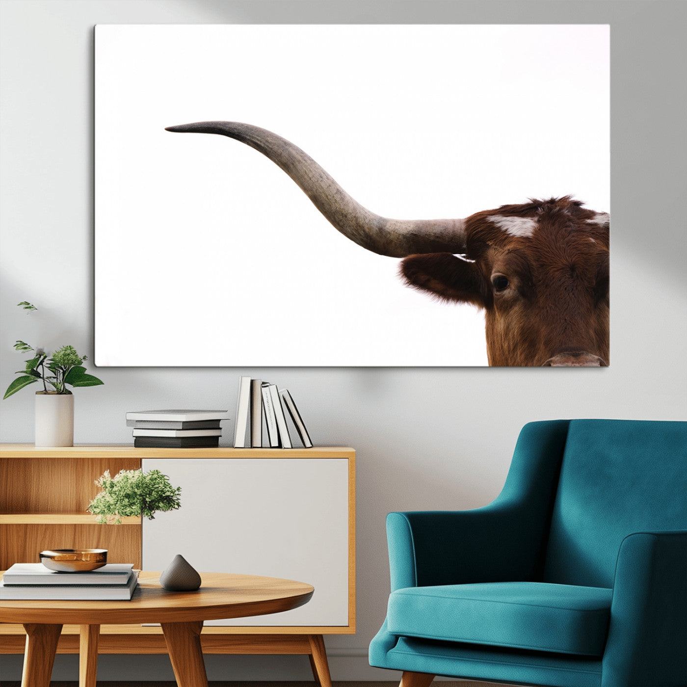 Close-up of Texas Longhorn horn and eye on white background, perfect for minimalist or modern farmhouse style wall decor.