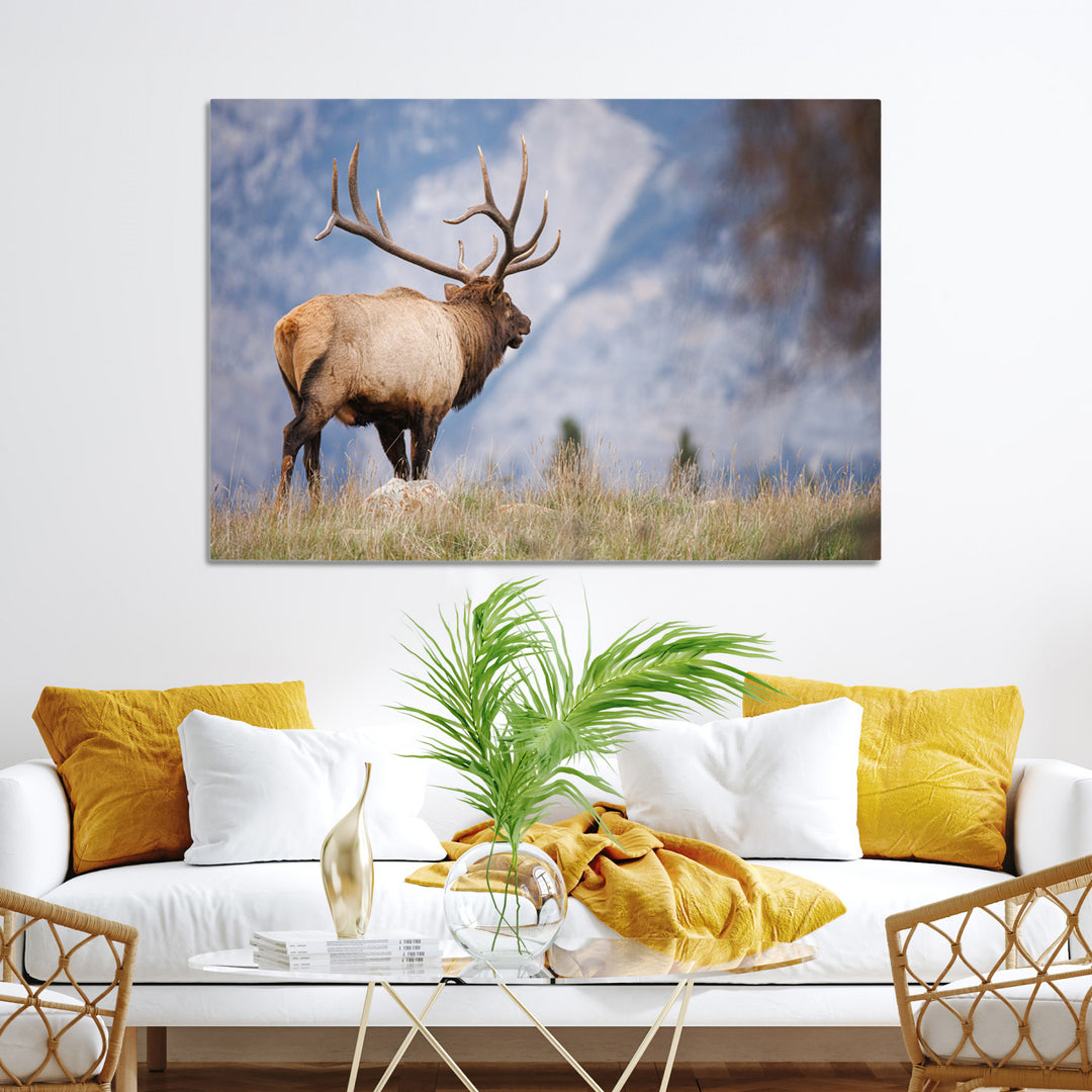 Rustic Elk Wall Art Canvas Print, Wildlife Antler Print, Framed Western Hunting Lodge Art Print