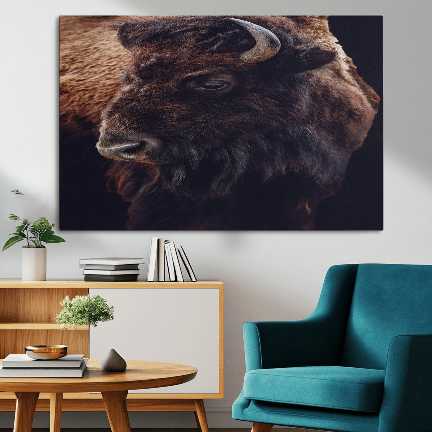 Close-up portrait of a bison with dark fur on a black background, perfect for rustic, lodge, or Western-style interior wall decor.